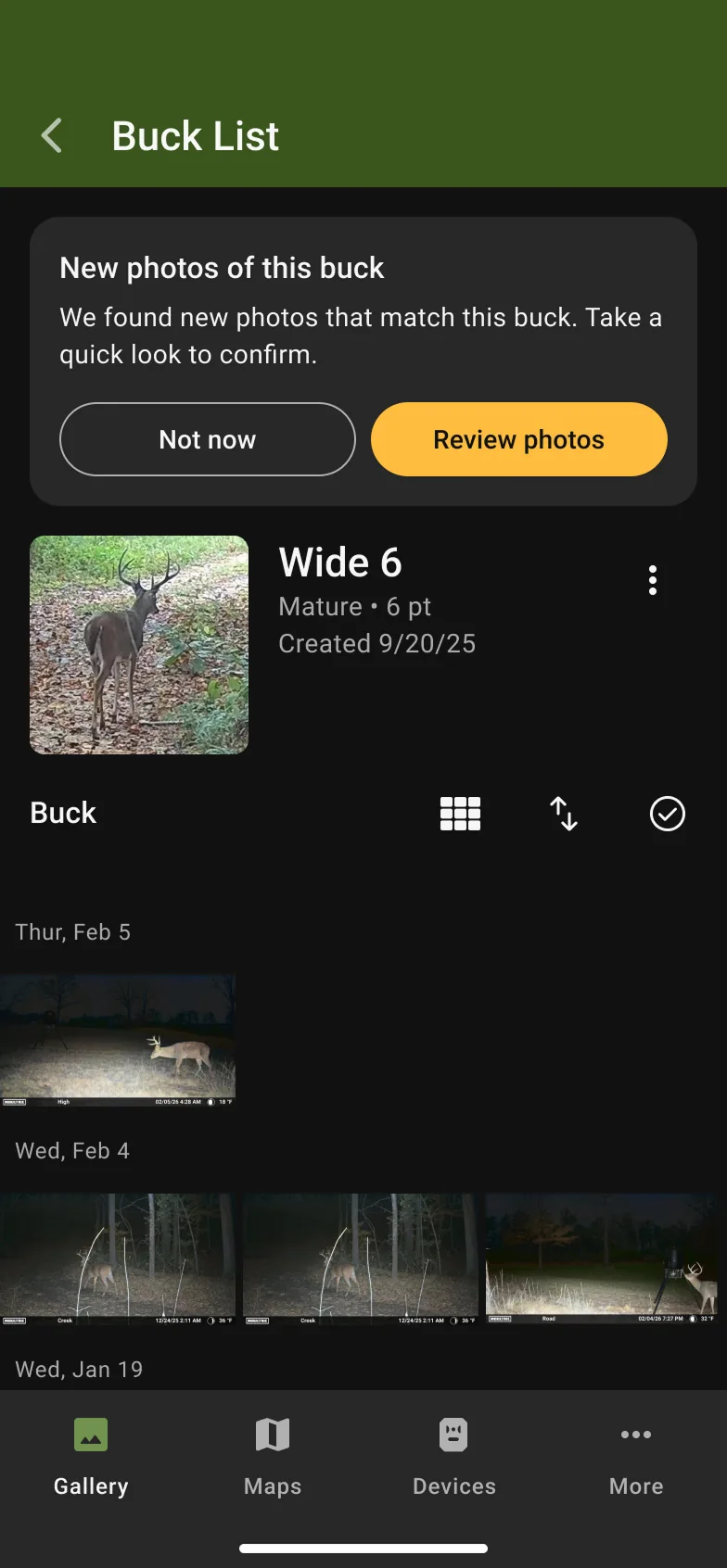 Buck profile screen with a prompt saying new photos were found that match this buck, with options to review or dismiss