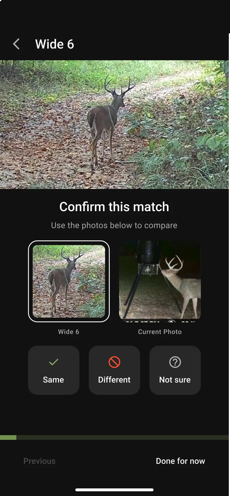 Confirm this match screen with the profile photo toggled to full size for comparison against the current photo