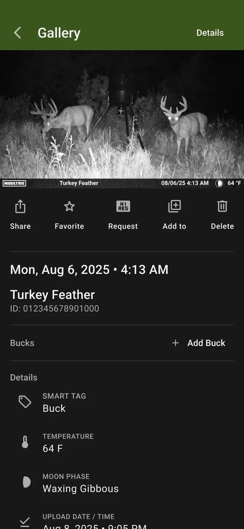 Flyout sheet of buck profile pictures open over an image detail view