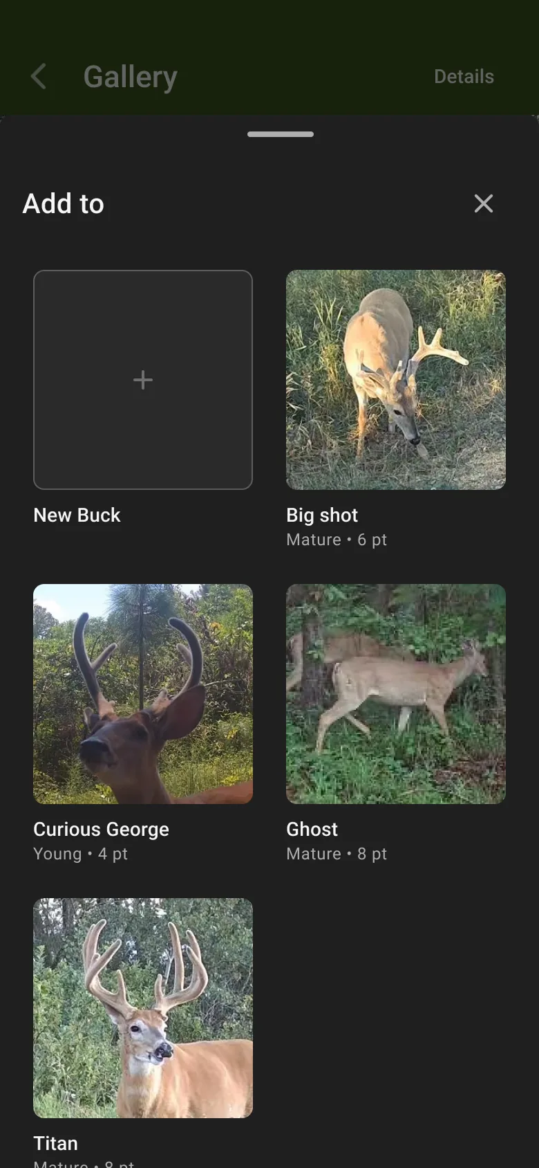 Flyout sheet showing a larger profile picture for comparison against the incoming image