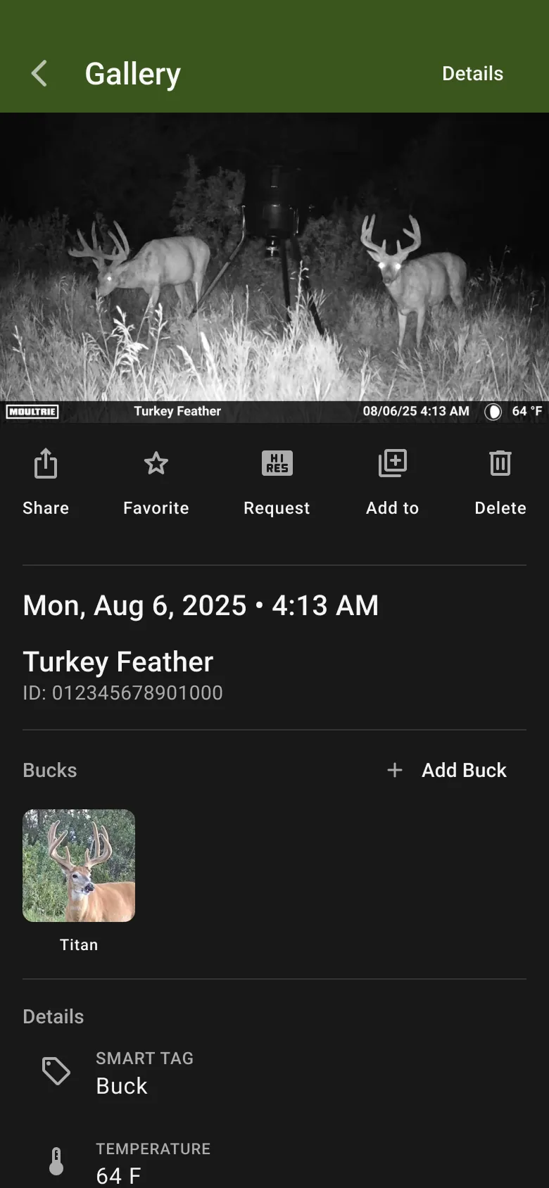 Flyout sheet dismissing after a buck profile is selected for tagging